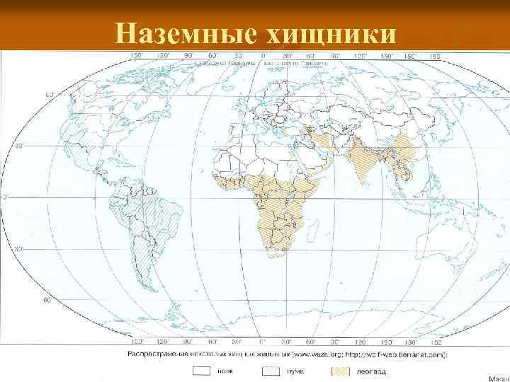 Наземные хищники 