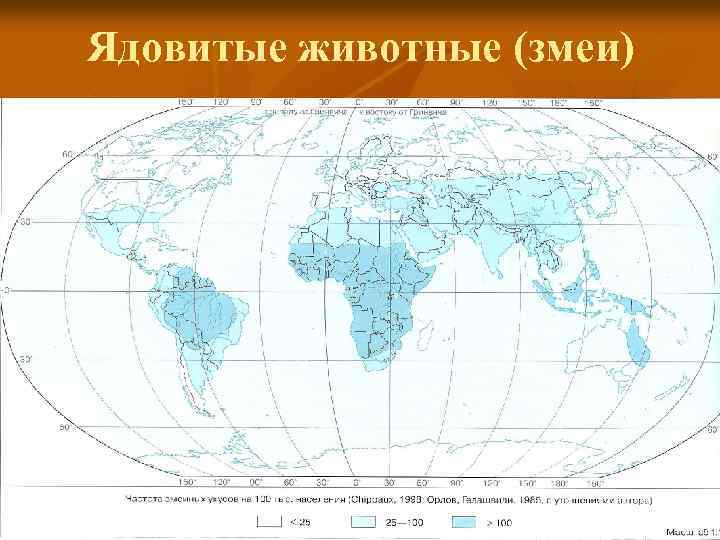 Ядовитые животные (змеи) 