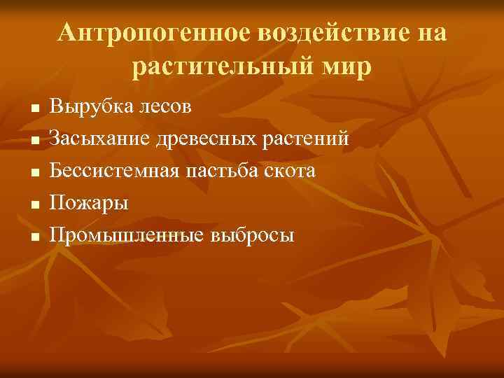 Антропогенное воздействие на растительный мир n n n Вырубка лесов Засыхание древесных растений Бессистемная