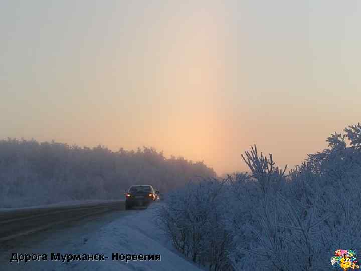 Дорога Мурманск- Норвегия 