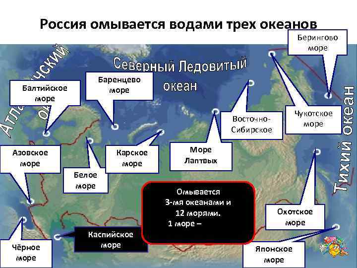 Россия омывается водами трех океанов Берингово море Баренцево море Балтийское море Чукотское море Восточно.