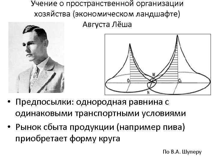 Учение о пространственной организации хозяйства (экономическом ландшафте) Августа Лёша • Предпосылки: однородная равнина с