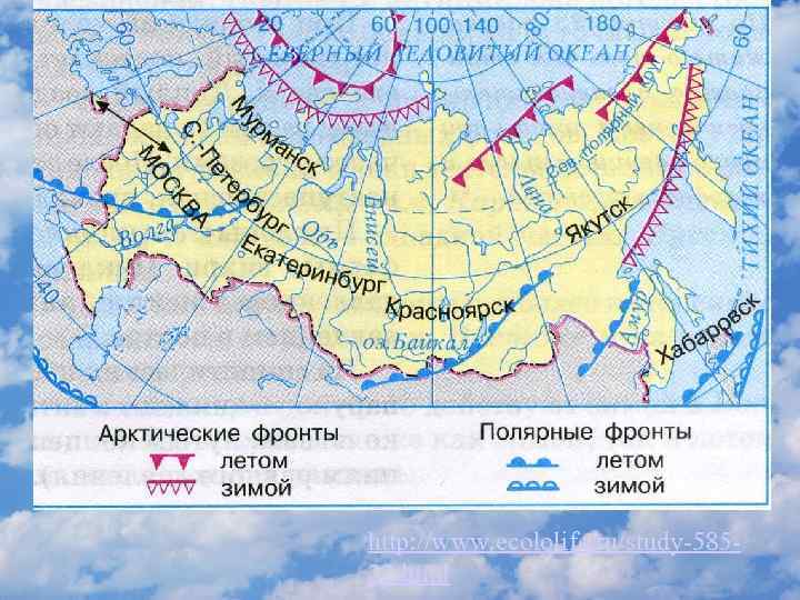 http: //www. ecololife. ru/study-58522. html 