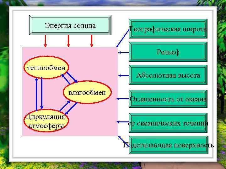 Энергия солнца Географическая широта Рельеф теплообмен Абсолютная высота влагообмен Циркуляция атмосферы Отдаленность от океана
