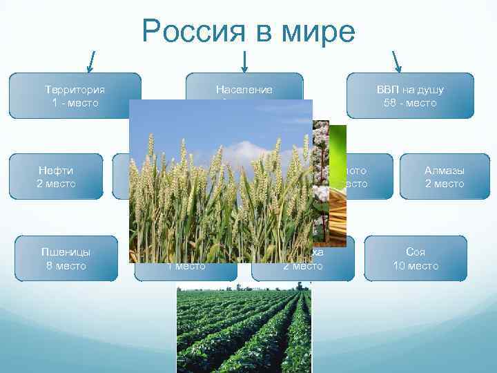 Россия в мире Территория 1 - место ВВП на душу 58 - место Население