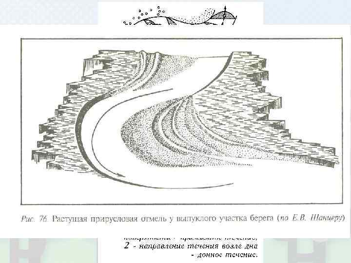 Пойма v. Боковая эрозия <= меандрирование v При повороте русла вода устремляется к вогнутому