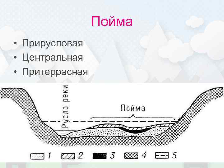 Пойма • Прирусловая • Центральная • Притеррасная 