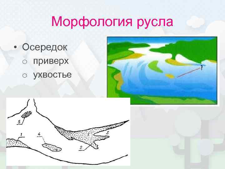 Морфология русла • Осередок o приверх o ухвостье 