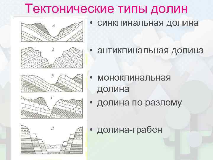 Тектонические типы долин • синклинальная долина • антиклинальная долина • моноклинальная долина • долина