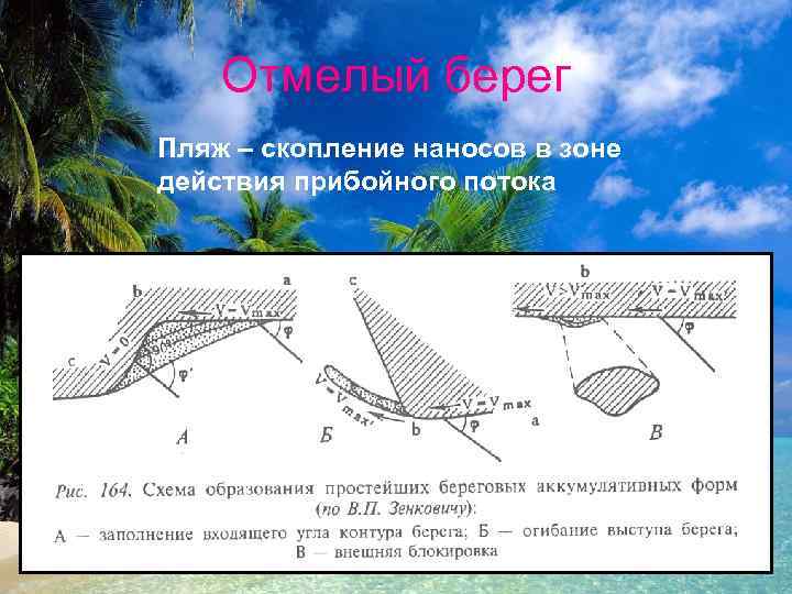 Отмелый берег Пляж – скопление наносов в зоне действия прибойного потока 