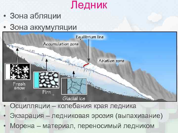 Ледник • Зона абляции • Зона аккумуляции • Осцилляции – колебания края ледника •