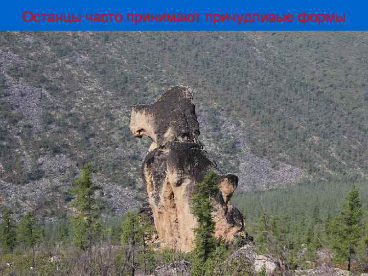 Останцы часто принимают причудливые формы 