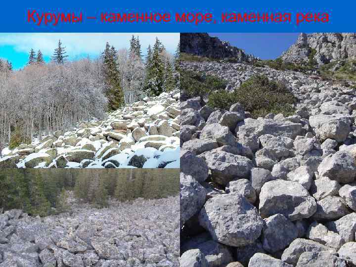 Курумы – каменное море, каменная река 