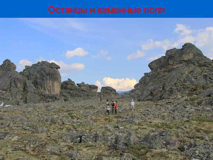 Останцы и каменные поля 