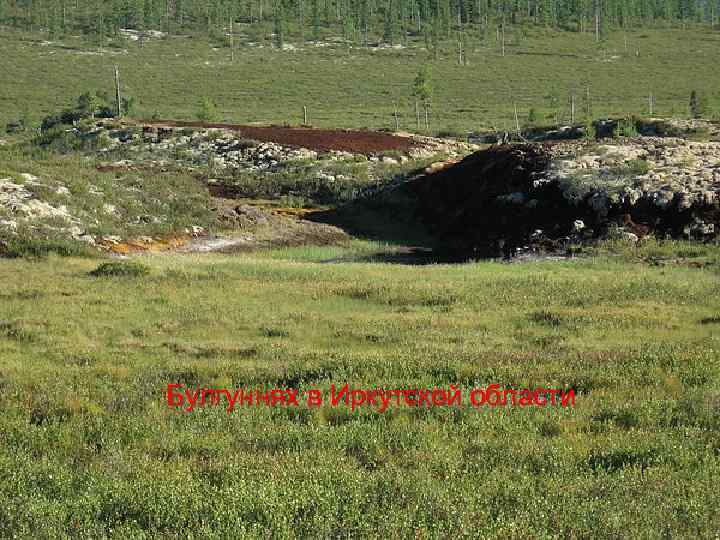 Булгуннях в Иркутской области 