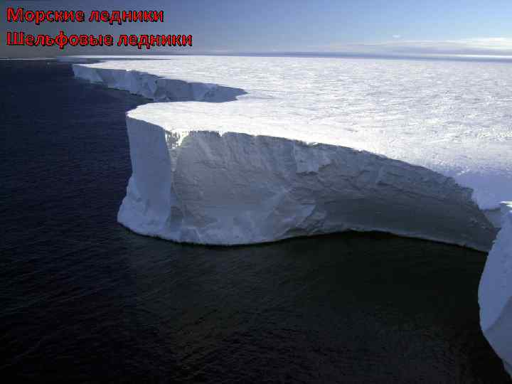 Морские ледники Шельфовые ледники 