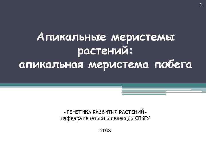 1 Апикальные меристемы растений: апикальная меристема побега «ГЕНЕТИКА РАЗВИТИЯ РАСТЕНИЙ» кафедра генетики и селекции