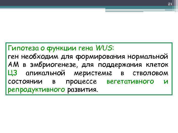 21 Гипотеза о функции гена WUS: ген необходим для формирования нормальной АМ в эмбриогенезе,