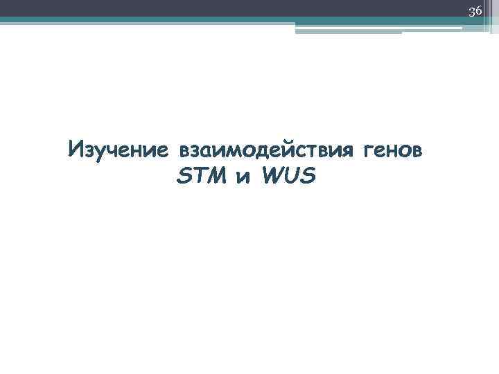 36 Изучение взаимодействия генов STM и WUS 