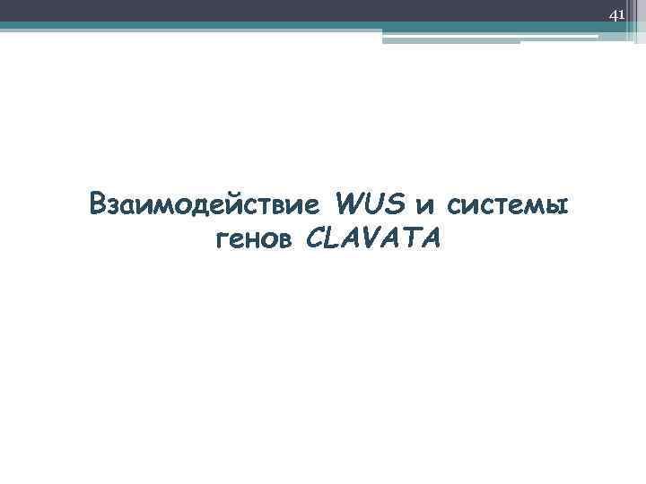 41 Взаимодействие WUS и системы генов CLAVATA 