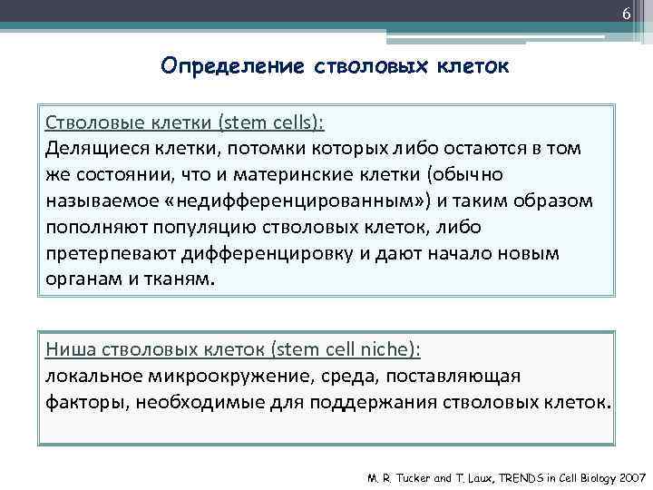 6 Определение стволовых клеток Стволовые клетки (stem cells): Делящиеся клетки, потомки которых либо остаются