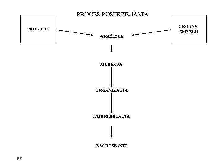 PROCES POSTRZEGANIA ORGANY ZMYSŁU BODZIEC WRAŻENIE SELEKCJA ORGANIZACJA INTERPRETACJA ZACHOWANIE 57 57 