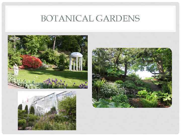 BOTANICAL GARDENS 