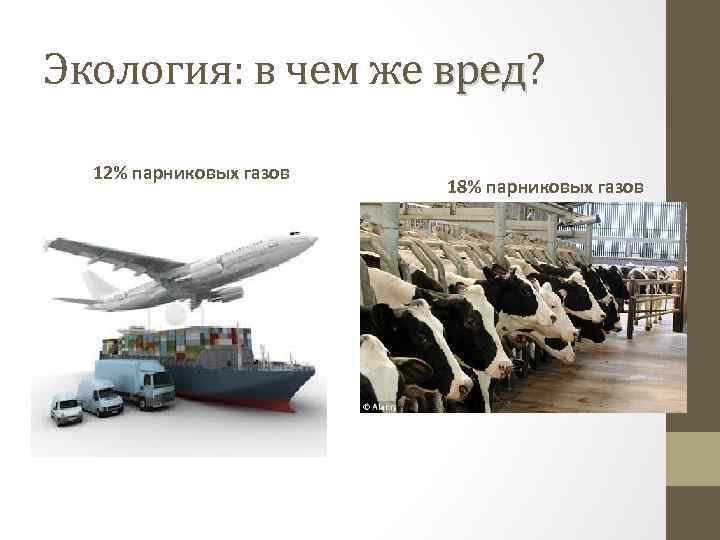 Экология: в чем же вред? вред 12% парниковых газов 18% парниковых газов 