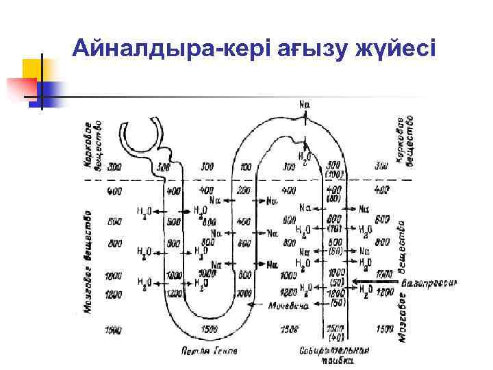 Айналдыра-кері ағызу жүйесі 