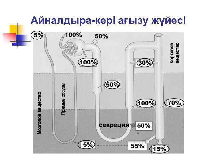 Айналдыра-кері ағызу жүйесі 