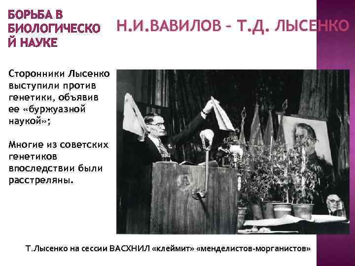 БОРЬБА В БИОЛОГИЧЕСКО Й НАУКЕ Н. И. ВАВИЛОВ – Т. Д. ЛЫСЕНКО Сторонники Лысенко