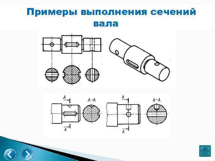 Какое сечение изображено на рисунке