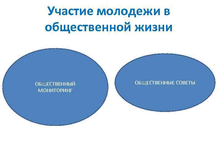 Участие молодежи в общественной жизни ОБЩЕСТВЕННЫЙ МОНИТОРИНГ ОБЩЕСТВЕННЫЕ СОВЕТЫ 