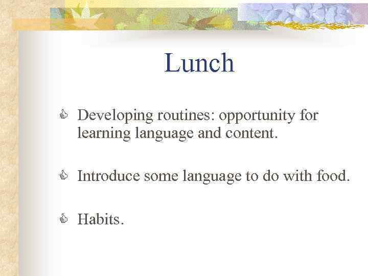 Lunch C Developing routines: opportunity for learning language and content. C Introduce some language