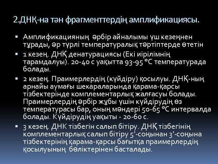 2. ДНҚ-на тән фрагменттердің амплификациясы. Амплификацияның әрбір айналымы үш кезеңнен тұрады, әр түрлі температуралық