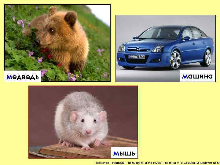 машина медведь мышь Посмотри – медведь – на букву М, а это мышь –