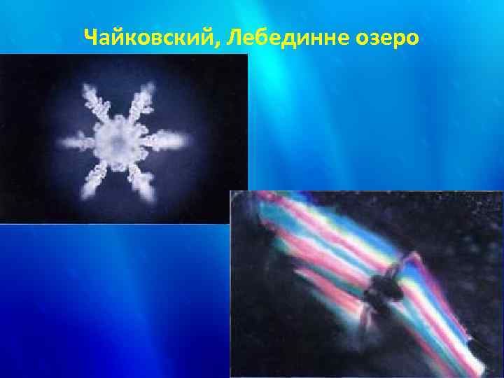 Чайковский, Лебединне озеро 