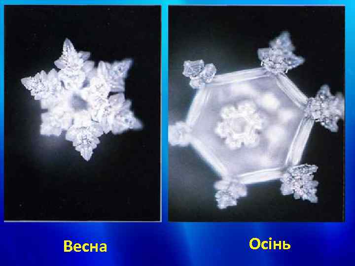 Весна Осінь 