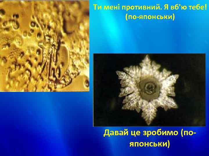 Ти мені противний. Я вб'ю тебе! (по-японськи) Давай це зробимо (пояпонськи) 