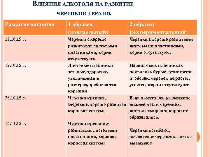 ВЛИЯНИЯ АЛКОГОЛЯ НА РАЗВИТИЕ ЧЕРЕНКОВ ГЕРАНИ. Развитие растения 1 образец (контрольный) 2 образец (экспериментальный)