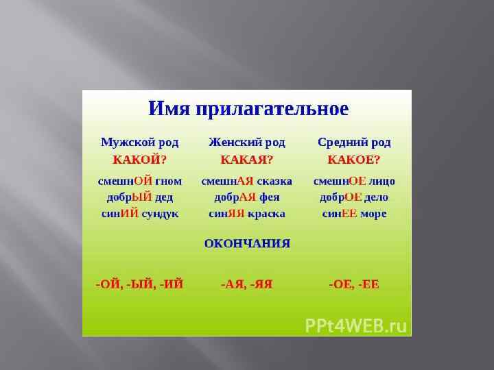 Род число падеж имени существительного 5 класс презентация