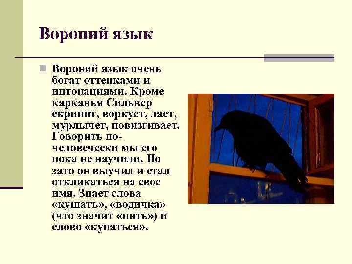 Вороний язык n Вороний язык очень богат оттенками и интонациями. Кроме карканья Сильвер скрипит,