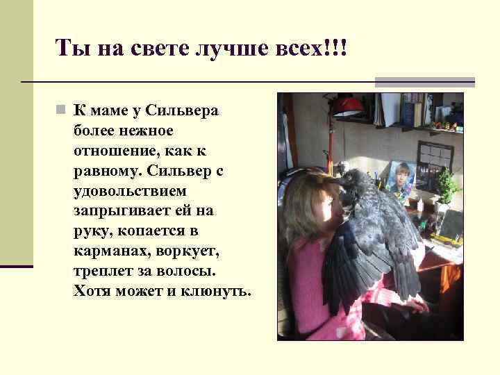 Ты на свете лучше всех!!! n К маме у Сильвера более нежное отношение, как