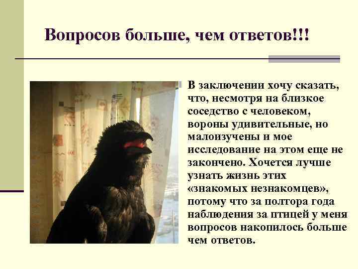 Вопросов больше, чем ответов!!! n В заключении хочу сказать, что, несмотря на близкое соседство