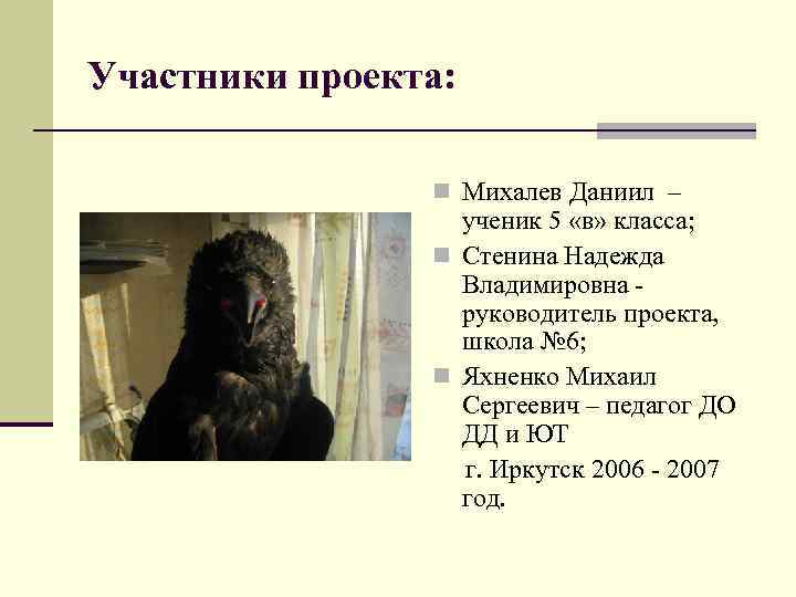 Участники проекта: n Михалев Даниил – ученик 5 «в» класса; n Стенина Надежда Владимировна