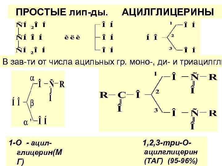 ПРОСТЫЕ лип-ды. АЦИЛГЛИЦЕРИНЫ В зав-ти от числа ацильных гр. моно-, ди- и триацилгли 1