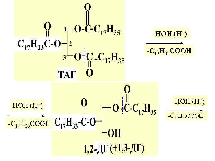 НОН (Н+) -С 17 Н 35 СООН 