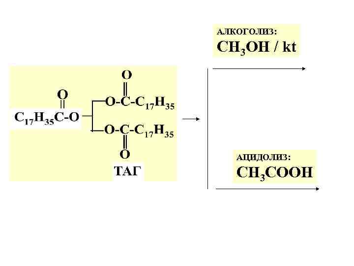 АЛКОГОЛИЗ: СН 3 ОН / kt АЦИДОЛИЗ: СН 3 СООН 