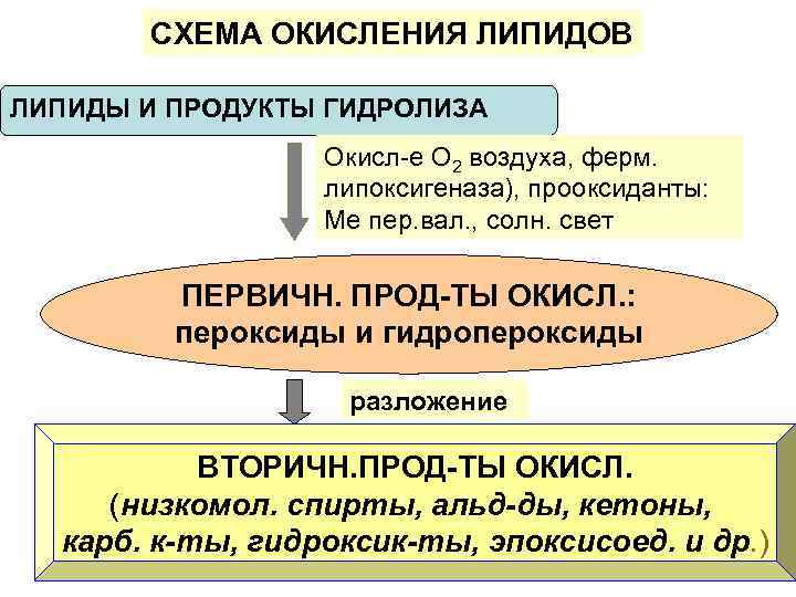 СХЕМА ОКИСЛЕНИЯ ЛИПИДОВ ЛИПИДЫ И ПРОДУКТЫ ГИДРОЛИЗА Окисл-е О 2 воздуха, ферм. липоксигеназа), прооксиданты: