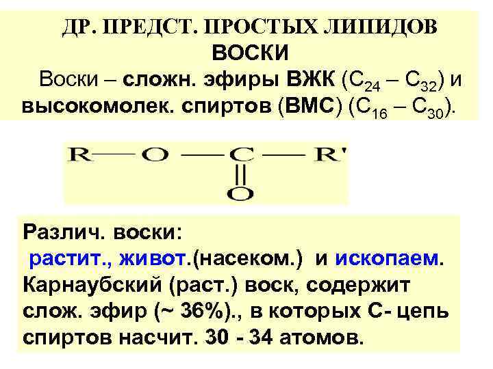 ДР. ПРЕДСТ. ПРОСТЫХ ЛИПИДОВ ВОСКИ Воски – сложн. эфиры ВЖК (C 24 – C